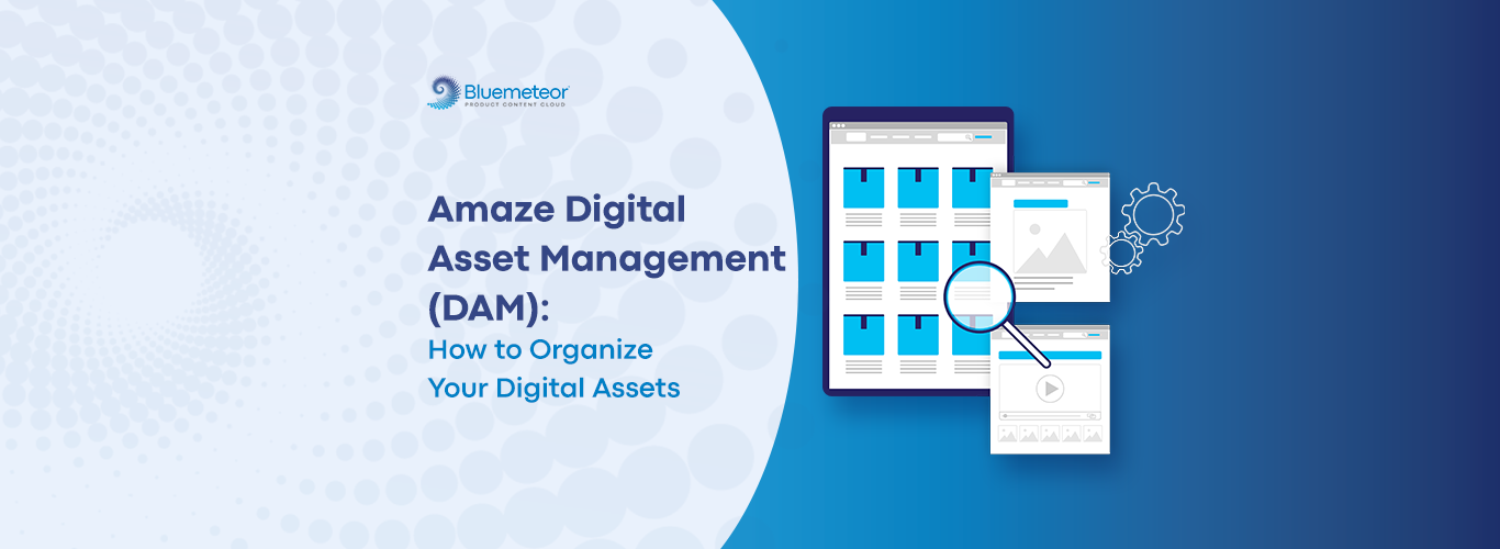 Digital Asset Management