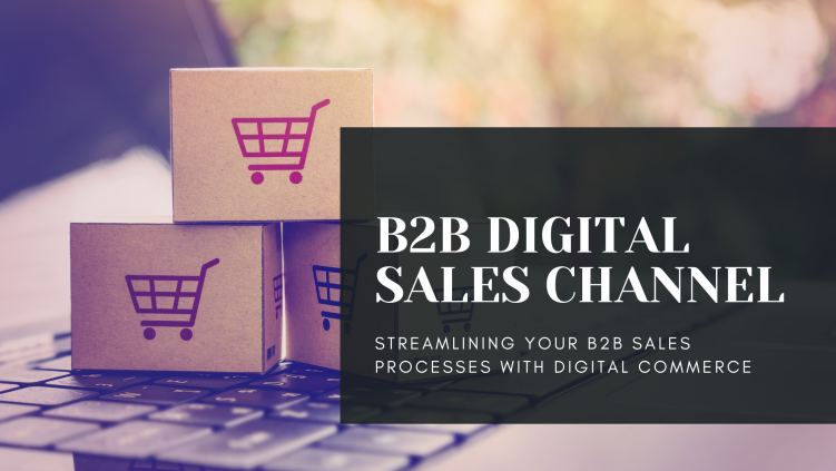 Streamlining Your B2B Sales Processes with Digital Commerce