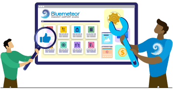 bluemeteor service