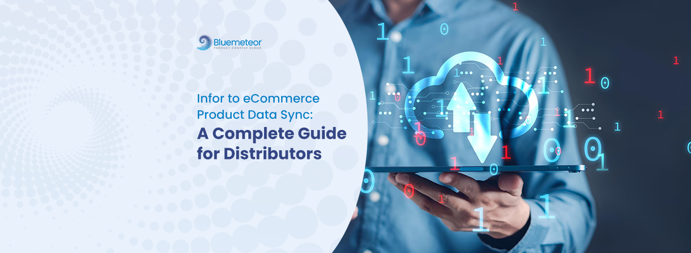 Infor to eCommerce Product Data Sync Blog