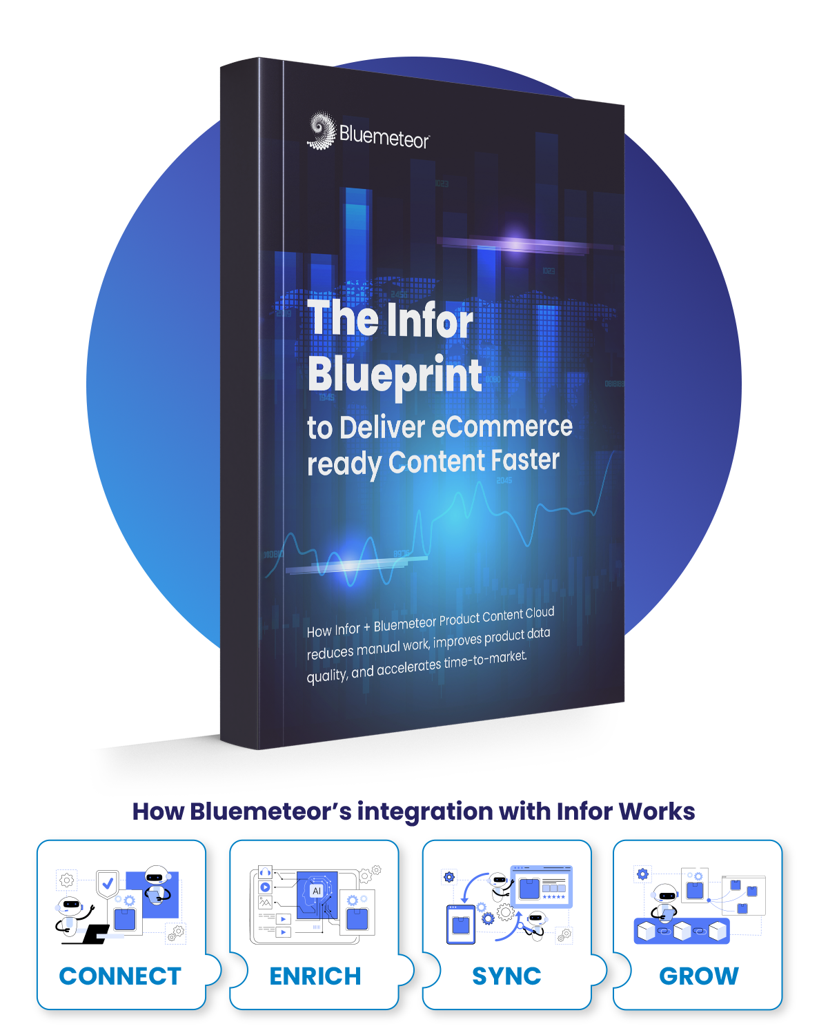 Infor-eBook