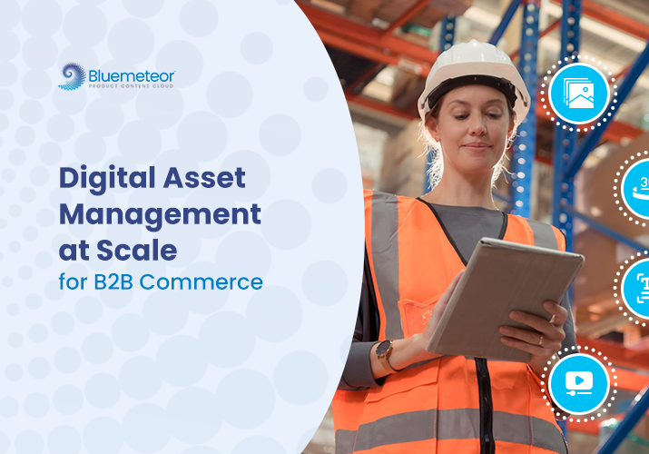 Blog Digital asset management for B2B commerce