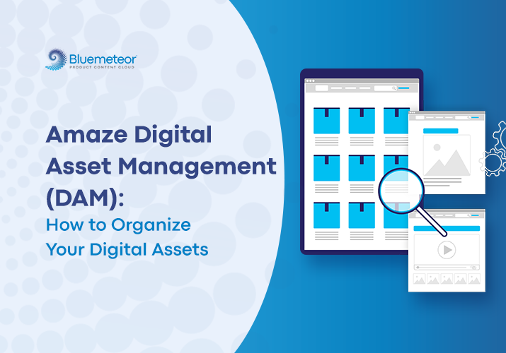 Digital Asset Management