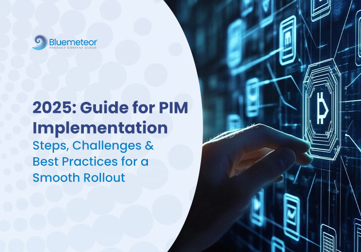 PIM-Implementation-Guide-2025