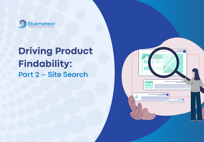 Site Search Capabilities to Improve Product Findability